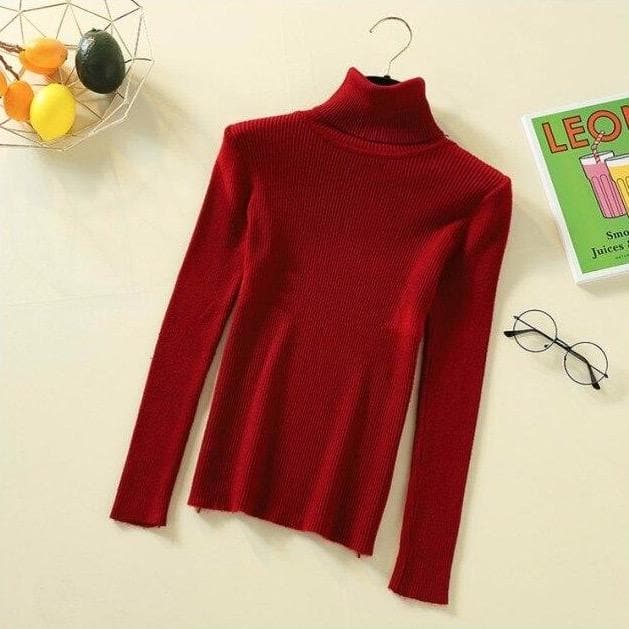 Ribbed Turtleneck With Long Sleeves - Asian Fashion Lianox