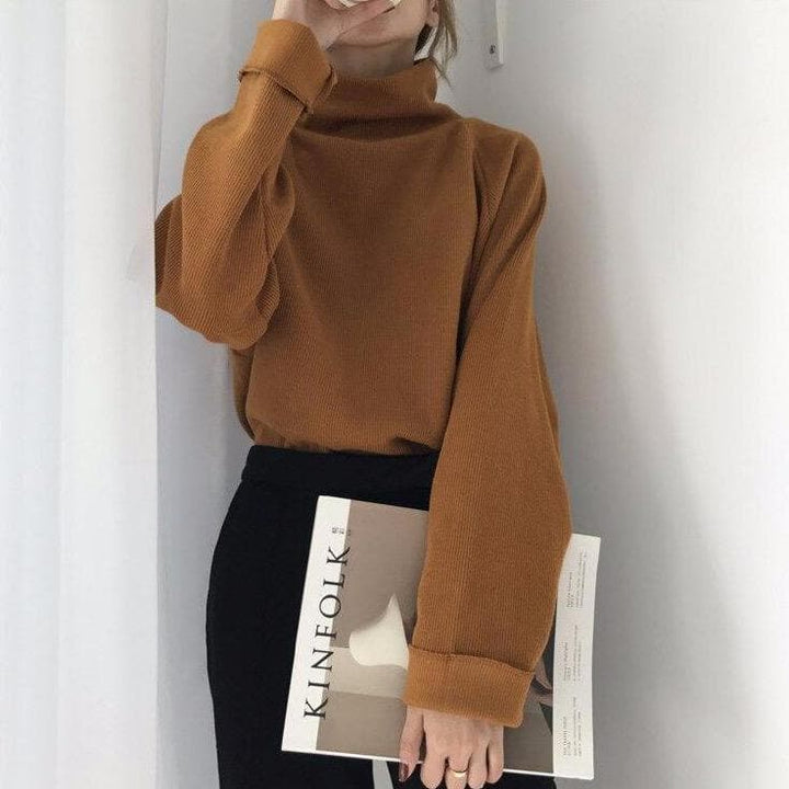 Knitted Longsleeve Sweatshirt With Big Turtleneck - Asian Fashion Lianox