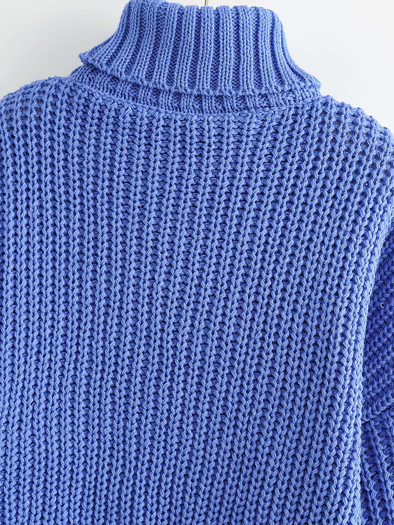 Thick Needle Twist Turtleneck Sweater